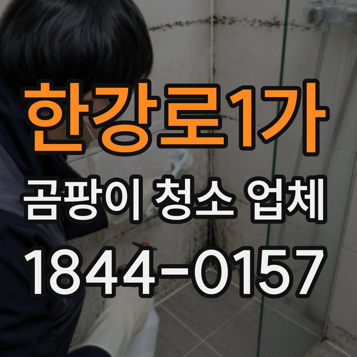 한강로1가 곰팡이 청소 업체