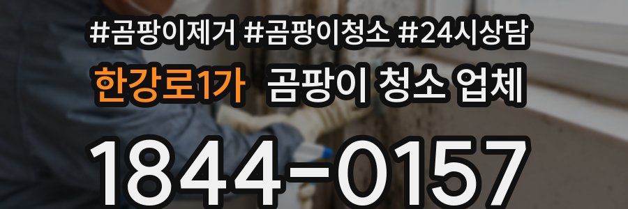 한강로1가 곰팡이 청소 업체