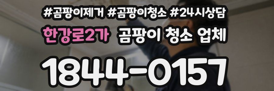 한강로2가 곰팡이 청소 업체
