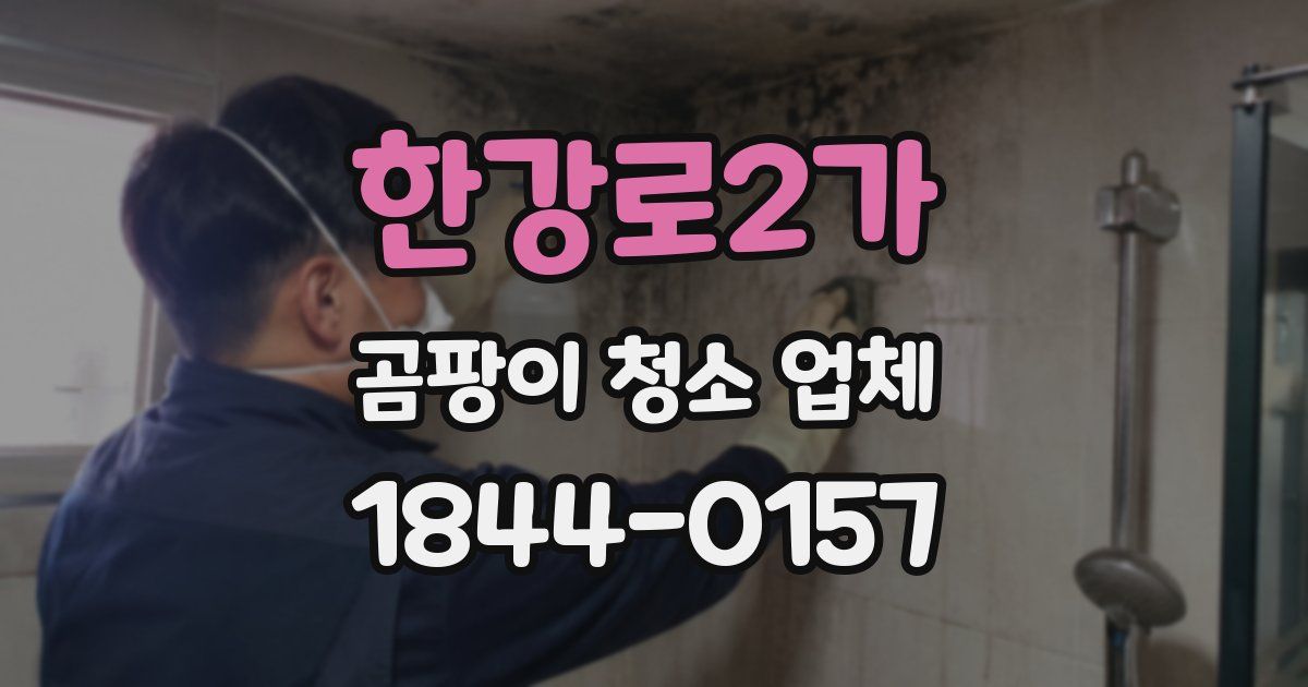 한강로2가 곰팡이 청소 업체