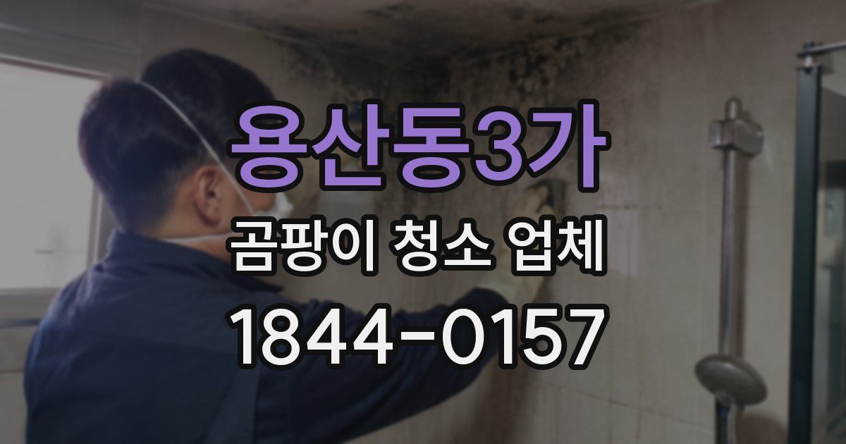 용산동3가 곰팡이 청소 업체