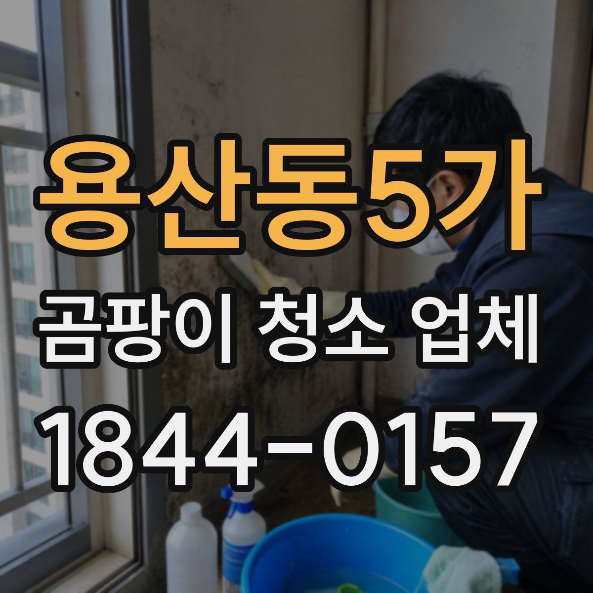 용산동5가 곰팡이 청소 업체