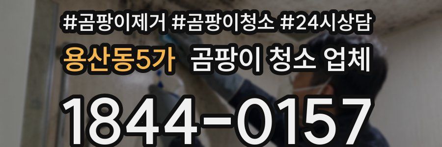 용산동5가 곰팡이 청소 업체