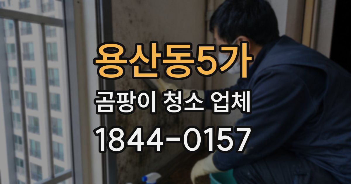 용산동5가 곰팡이 청소 업체