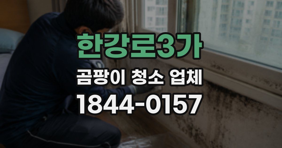 한강로3가 곰팡이 청소 업체