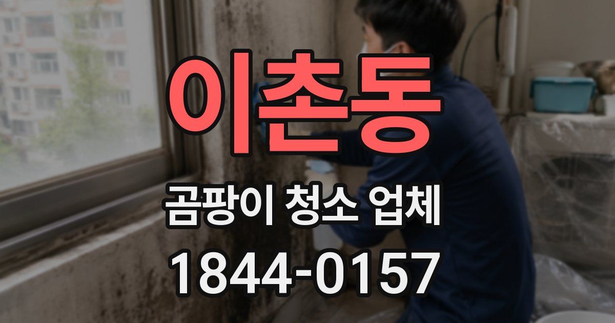 이촌동 곰팡이 청소 업체
