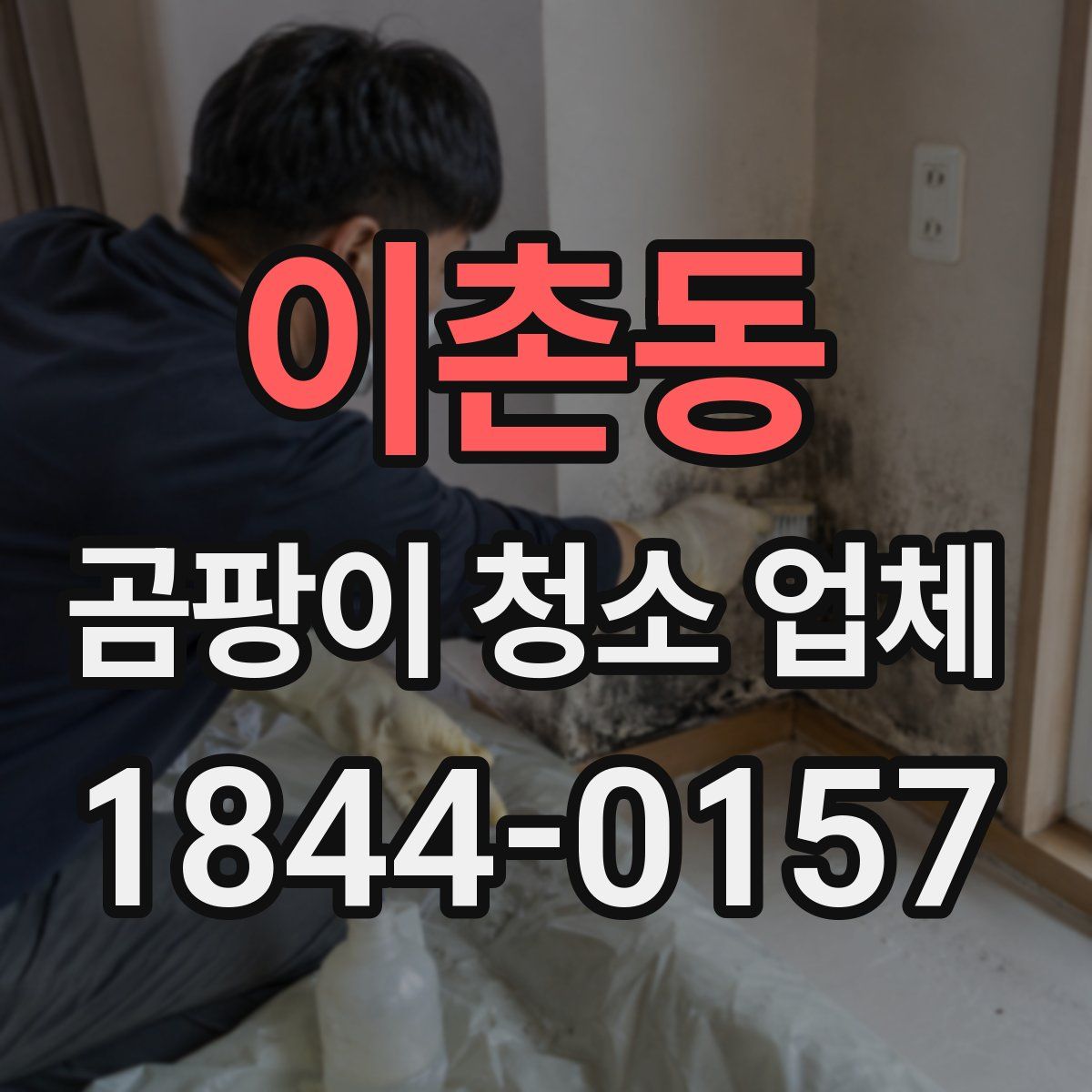 이촌동 곰팡이 청소 업체