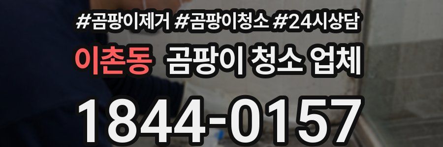 이촌동 곰팡이 청소 업체