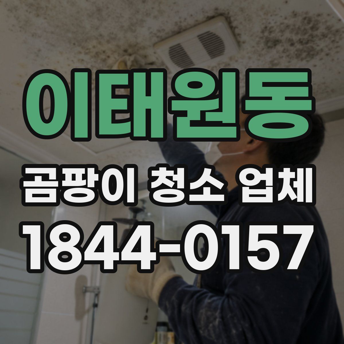 이태원동 곰팡이 청소 업체