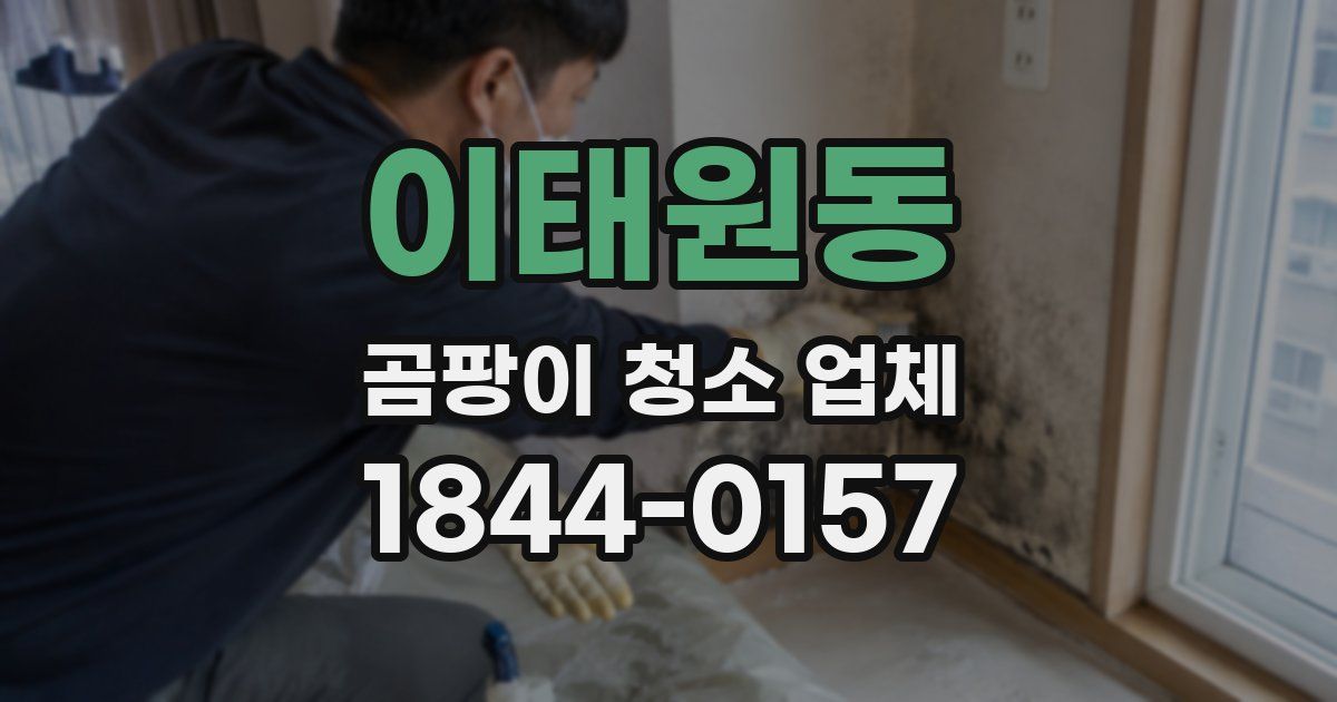 이태원동 곰팡이 청소 업체
