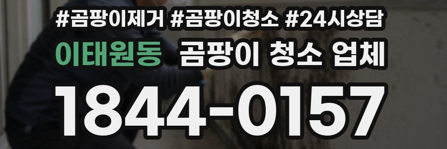 이태원동 곰팡이 청소 업체