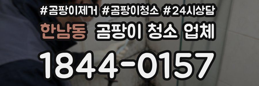 한남동 곰팡이 청소 업체