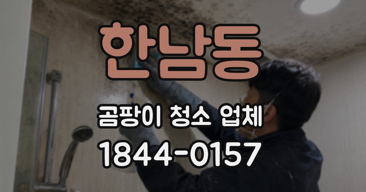 한남동 곰팡이 청소 업체