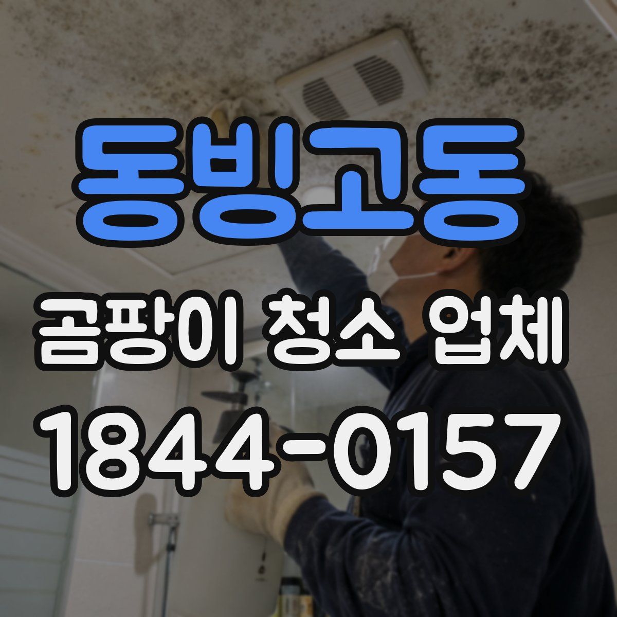 동빙고동 곰팡이 청소 업체