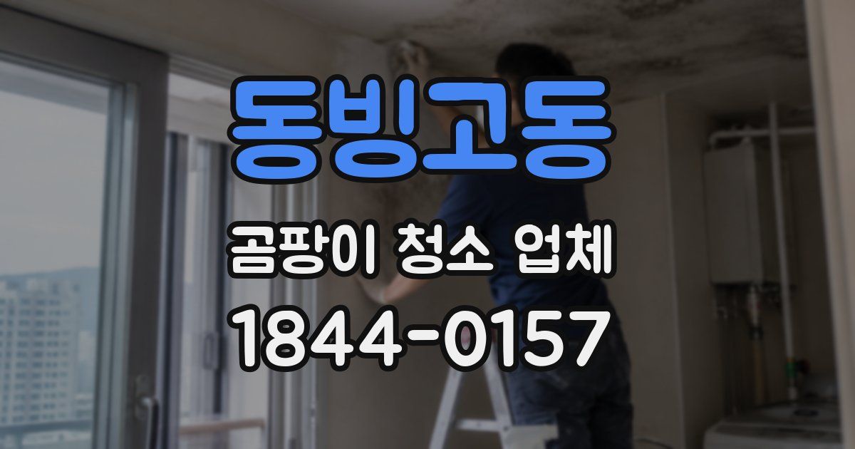 동빙고동 곰팡이 청소 업체