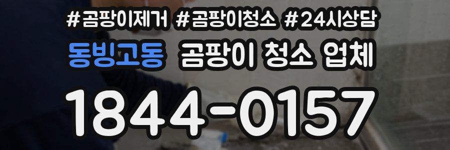 동빙고동 곰팡이 청소 업체