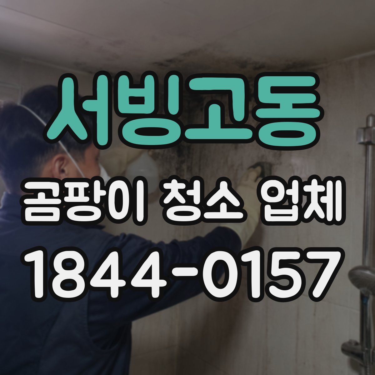 서빙고동 곰팡이 청소 업체