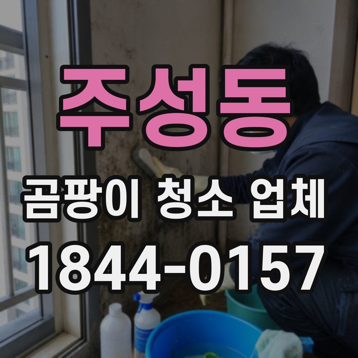 주성동 곰팡이 청소 업체