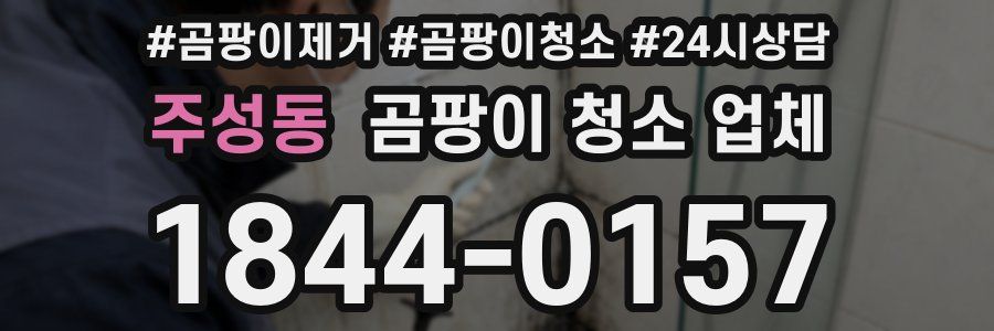 주성동 곰팡이 청소 업체