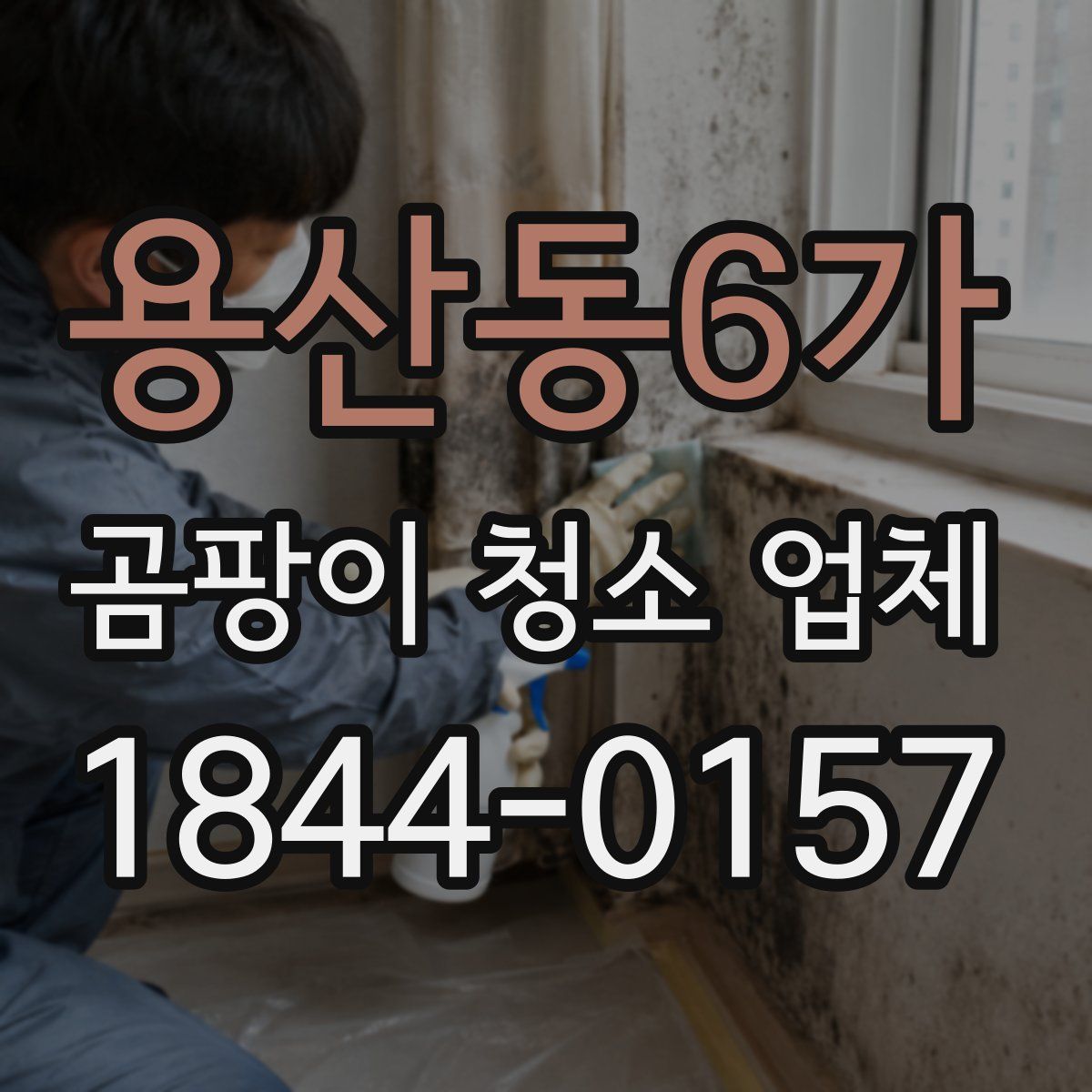 용산동6가 곰팡이 청소 업체