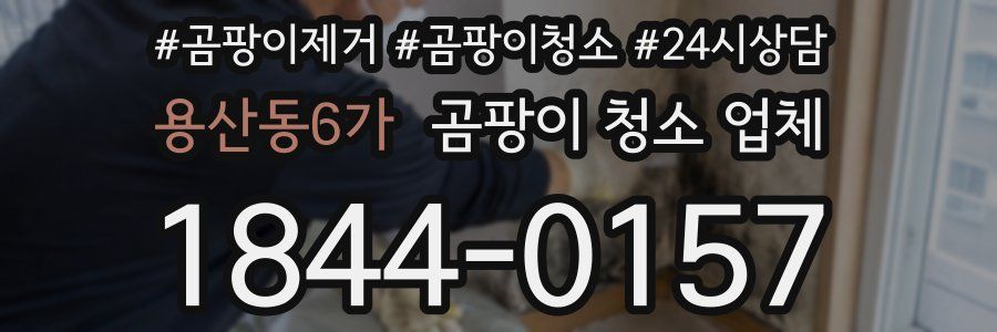 용산동6가 곰팡이 청소 업체