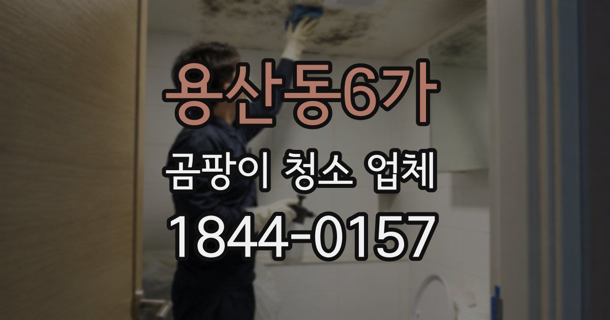 용산동6가 곰팡이 청소 업체