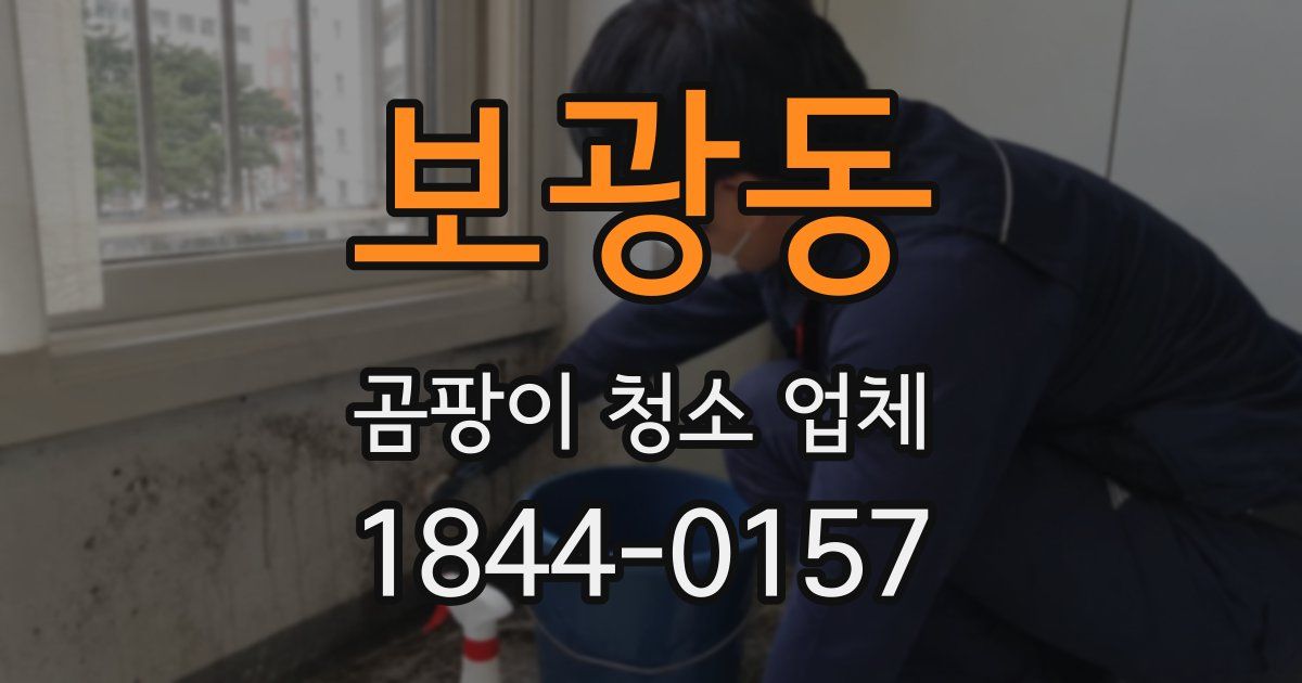 보광동 곰팡이 청소 업체