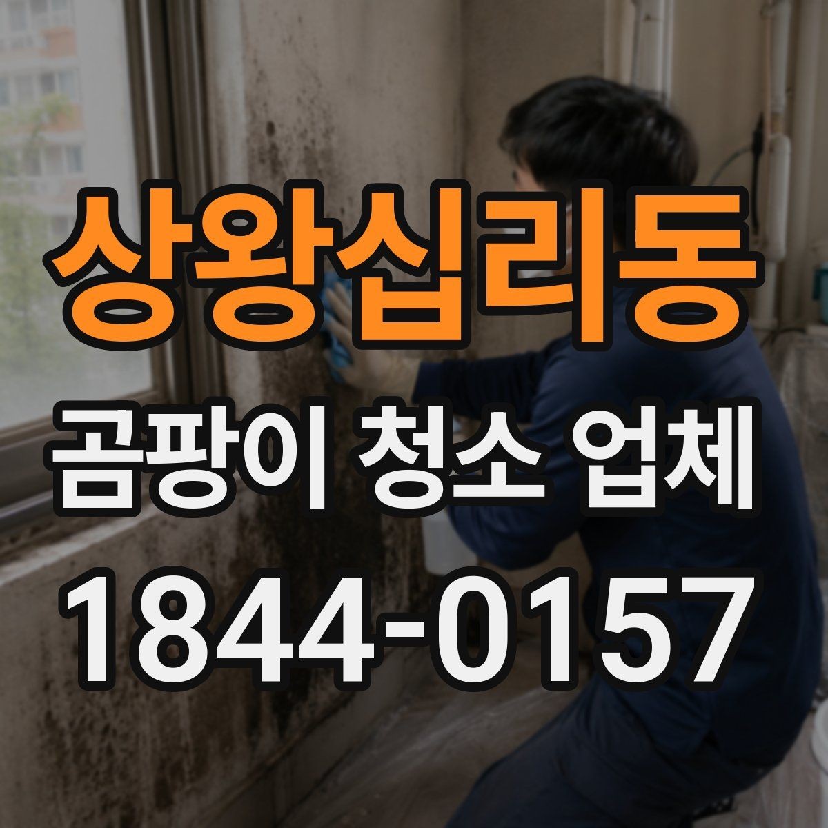 상왕십리동 곰팡이 청소 업체 청소 뒤 실내 냄새가 남을 때 관리 요령