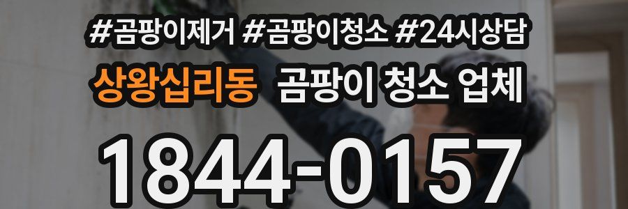상왕십리동 곰팡이 청소 업체