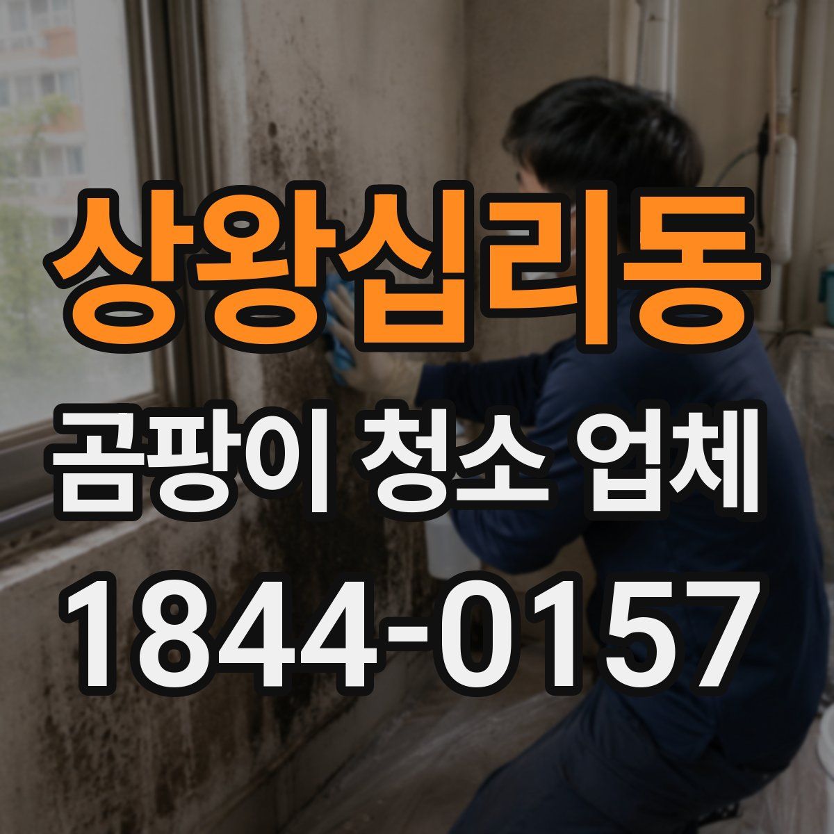 상왕십리동 곰팡이 청소 업체