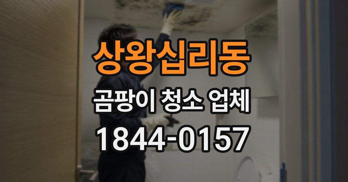 상왕십리동 곰팡이 청소 업체