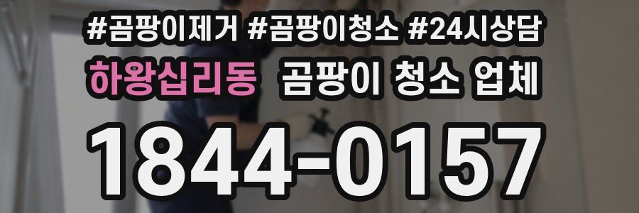 하왕십리동 곰팡이 청소 업체