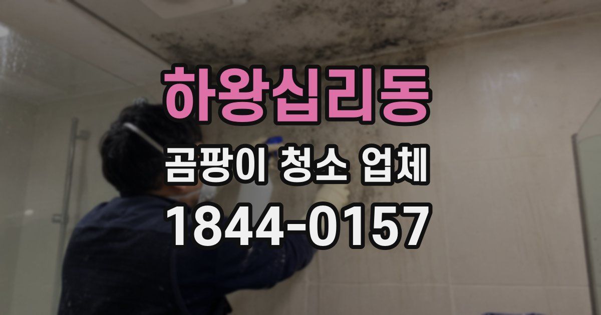 하왕십리동 곰팡이 청소 업체