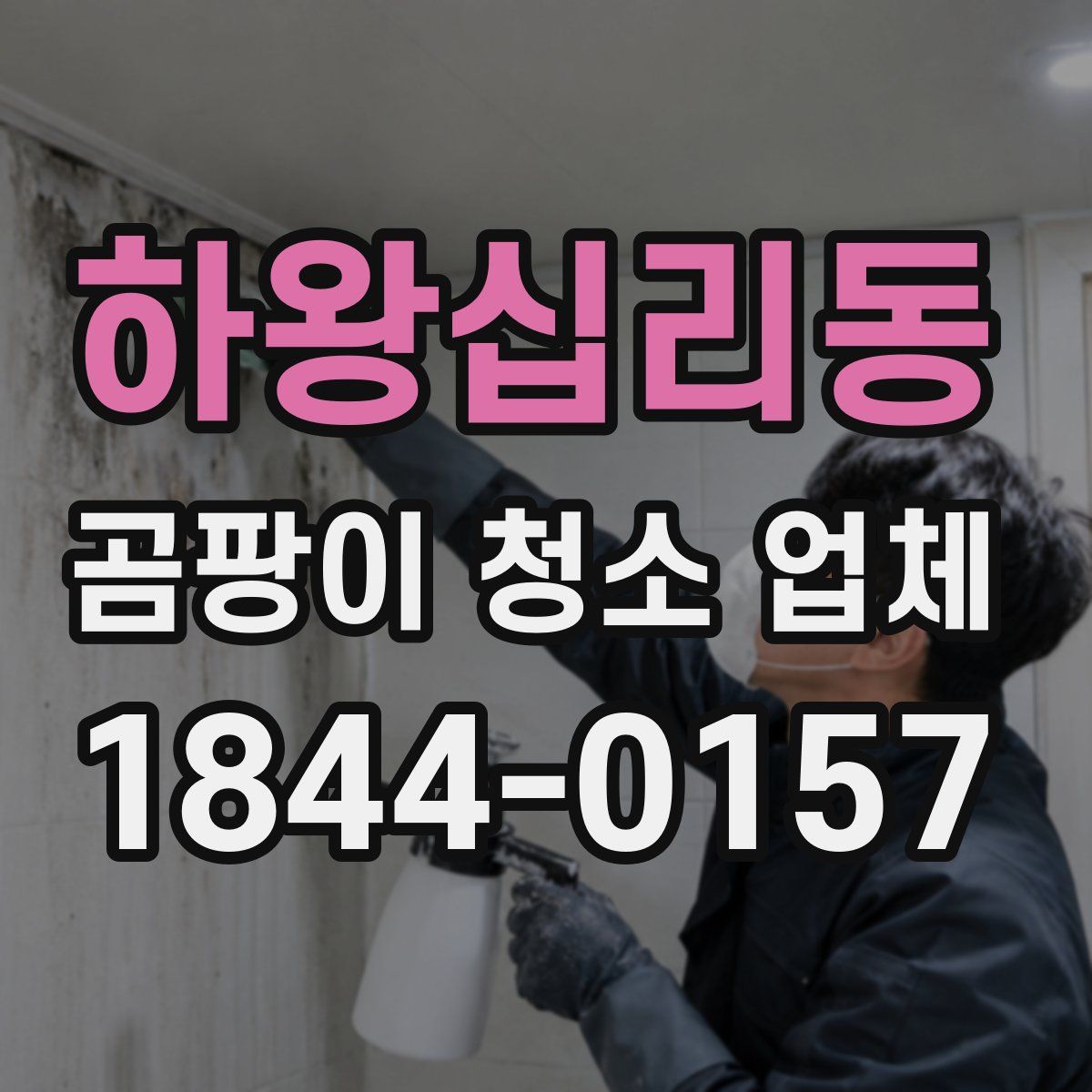 하왕십리동 곰팡이 청소 업체