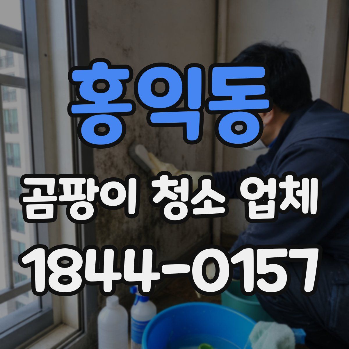 홍익동 곰팡이 청소 업체