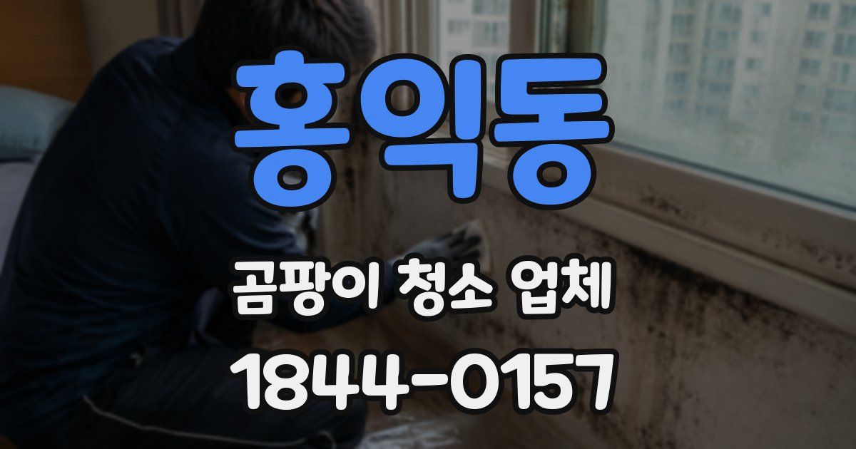 홍익동 곰팡이 청소 업체