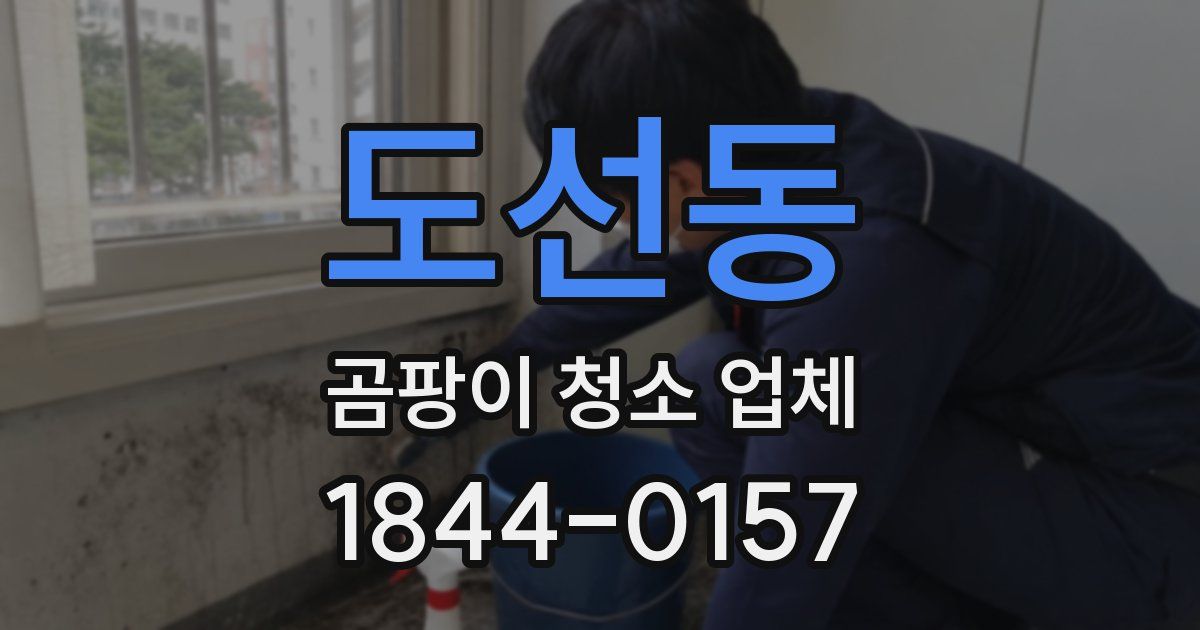 도선동 곰팡이 청소 업체