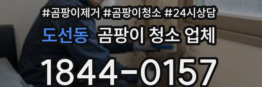 도선동 곰팡이 청소 업체