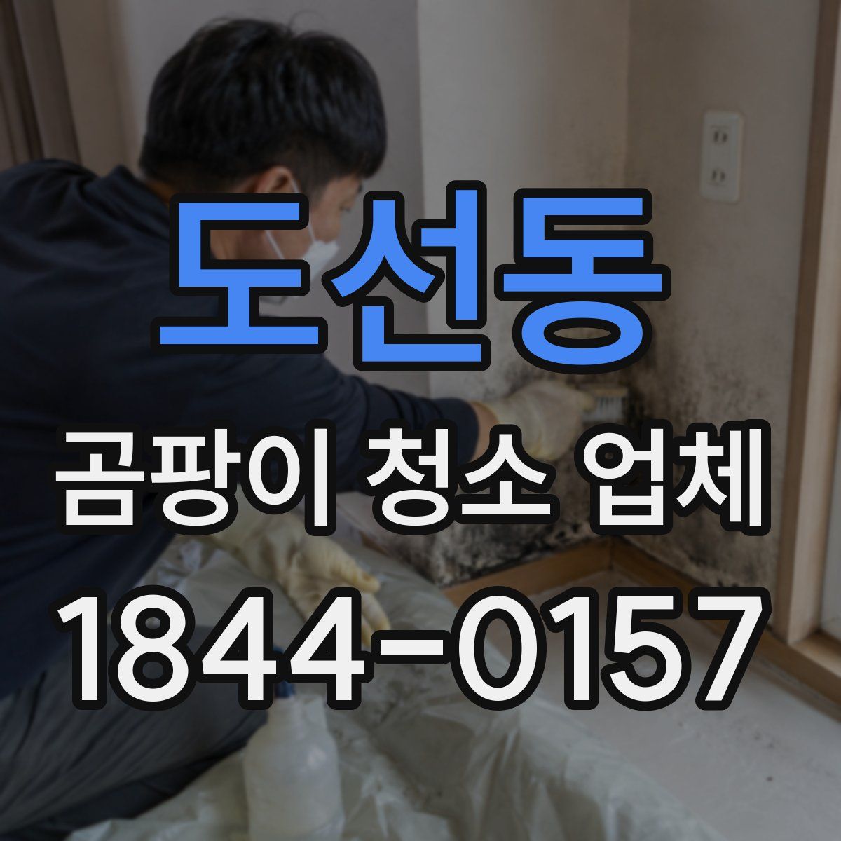 도선동 곰팡이 청소 업체