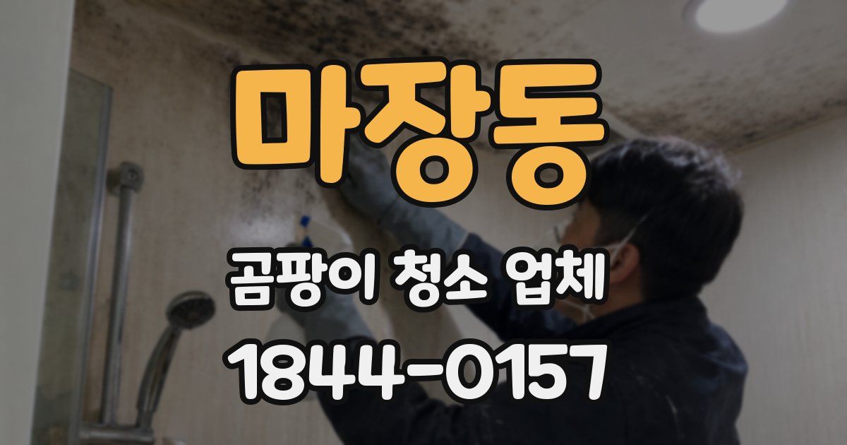 마장동 곰팡이 청소 업체