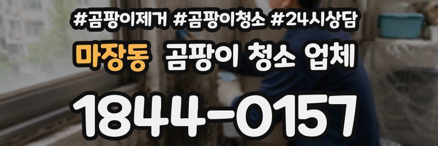 마장동 곰팡이 청소 업체