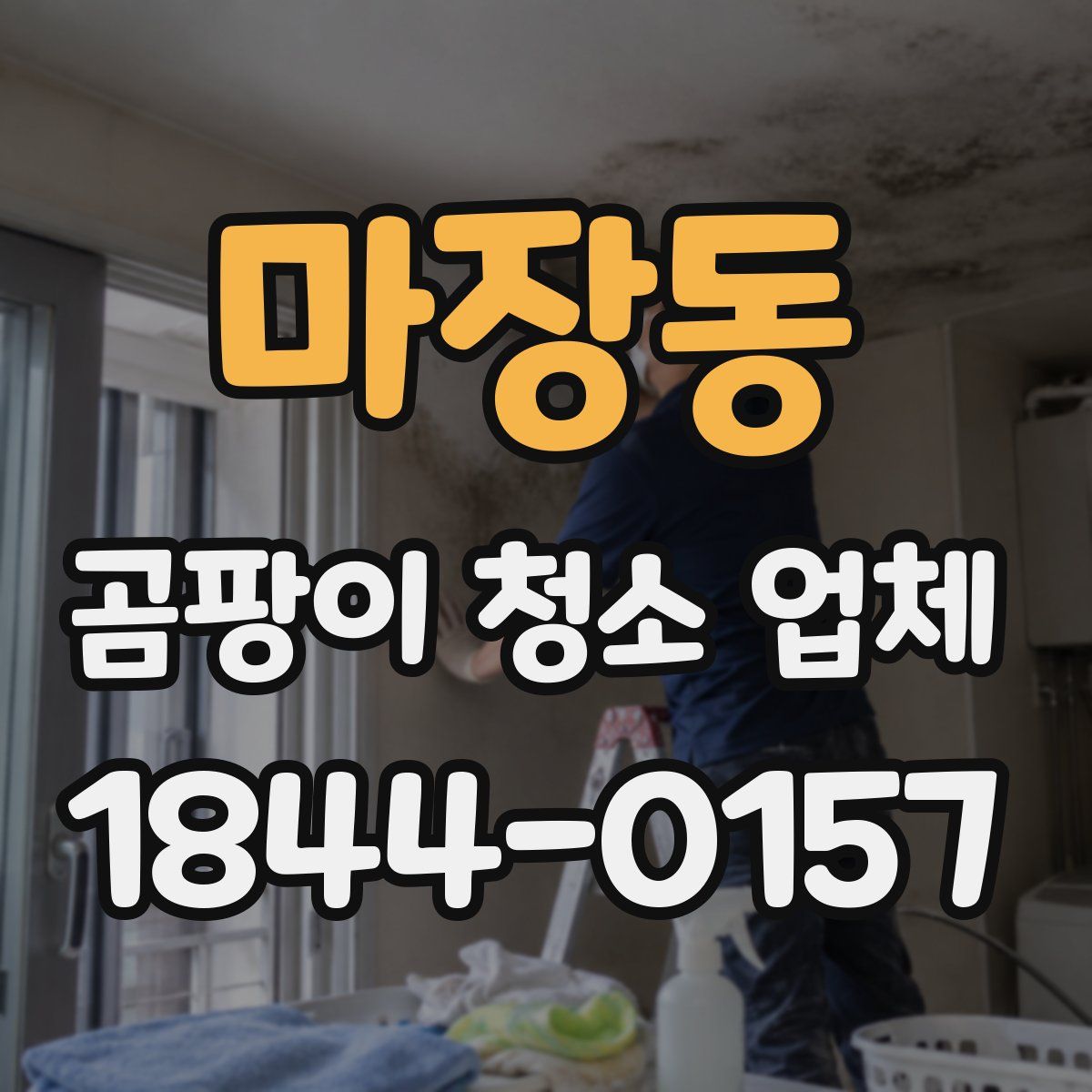 마장동 곰팡이 청소 업체