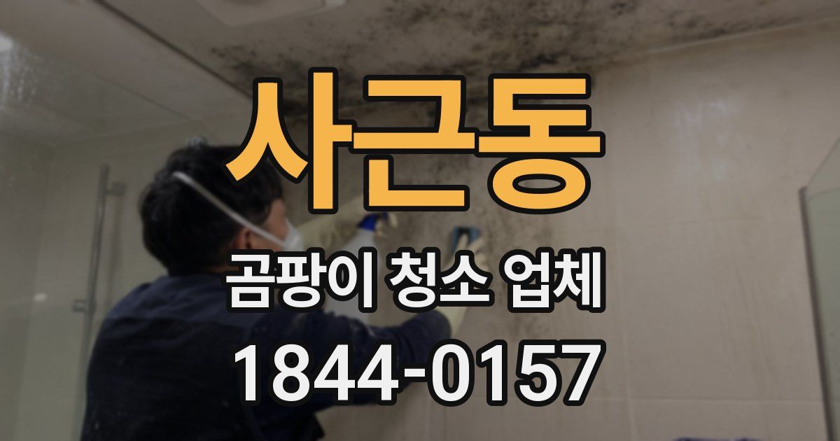 사근동 곰팡이 청소 업체