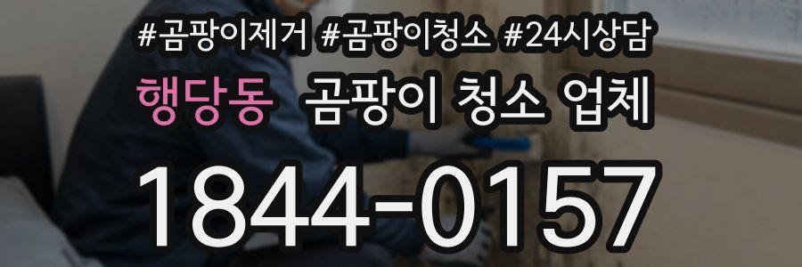 행당동 곰팡이 청소 업체