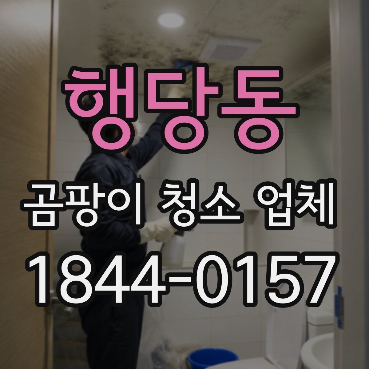 행당동 곰팡이 청소 업체