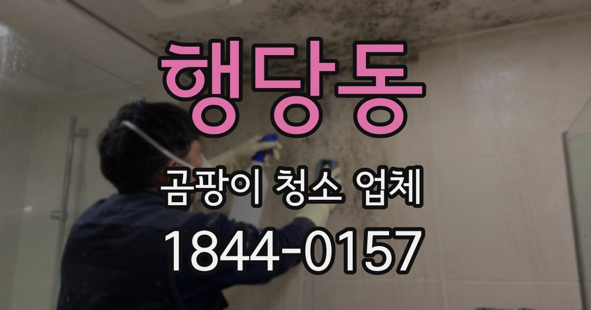 행당동 곰팡이 청소 업체
