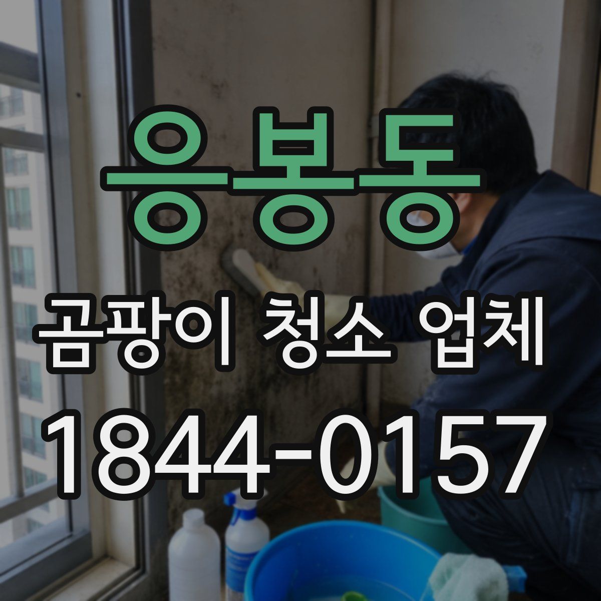 응봉동 곰팡이 청소 업체