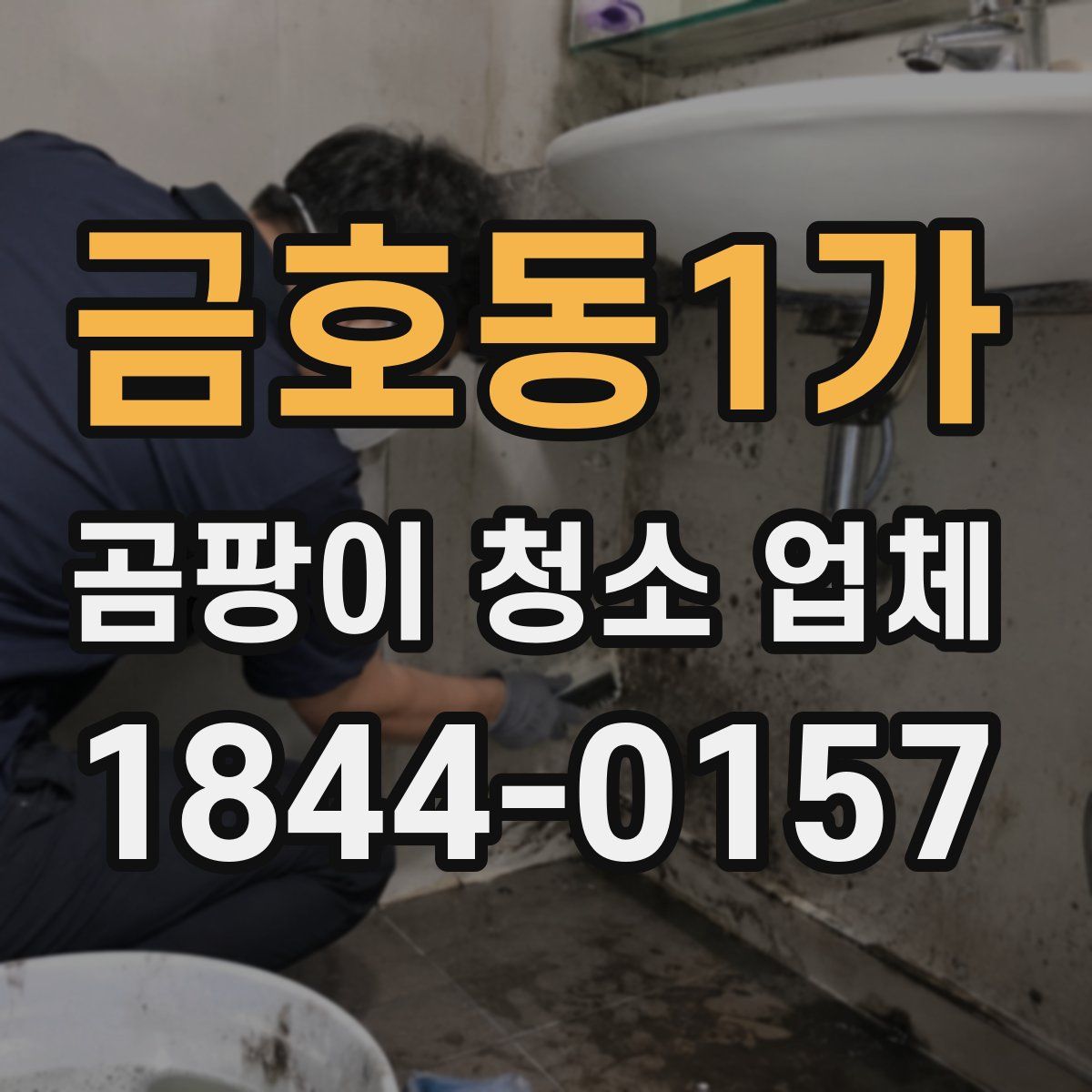 금호동1가 곰팡이 청소 업체