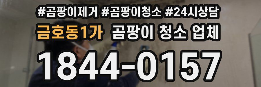 금호동1가 곰팡이 청소 업체