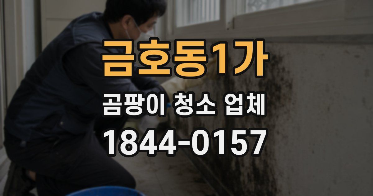금호동1가 곰팡이 청소 업체